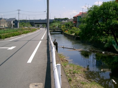c0112172_1143768.jpg