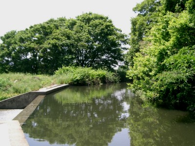 c0112172_1145573.jpg
