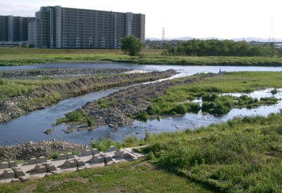 c0112172_115445.jpg
