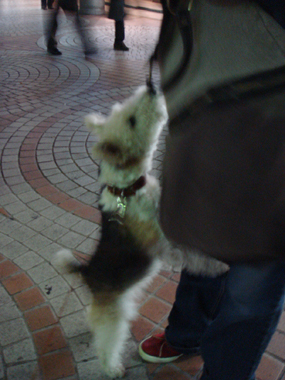 b0091373_018010.jpg