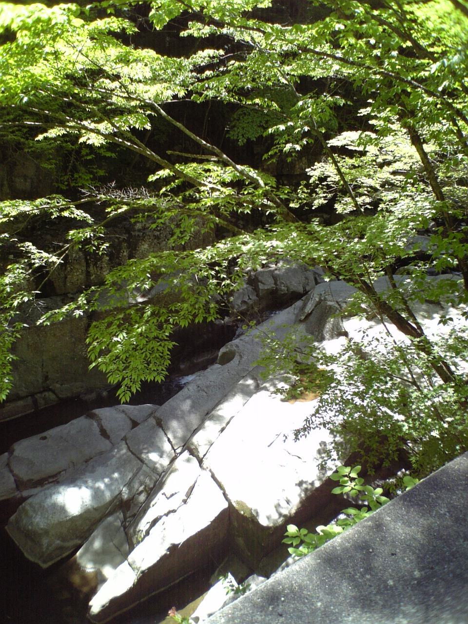 c0124776_6214320.jpg