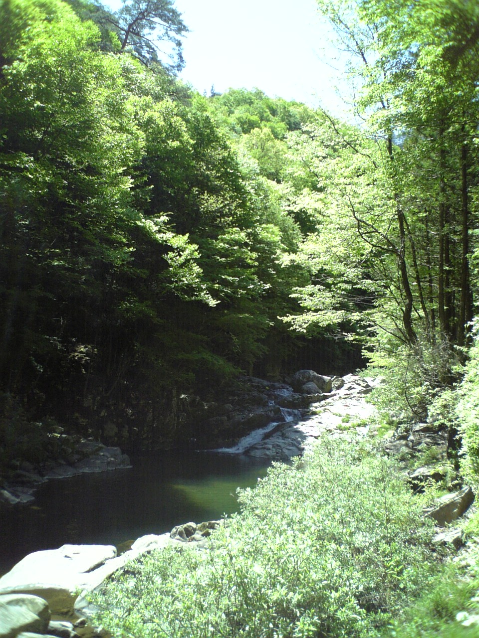 c0124776_6233667.jpg