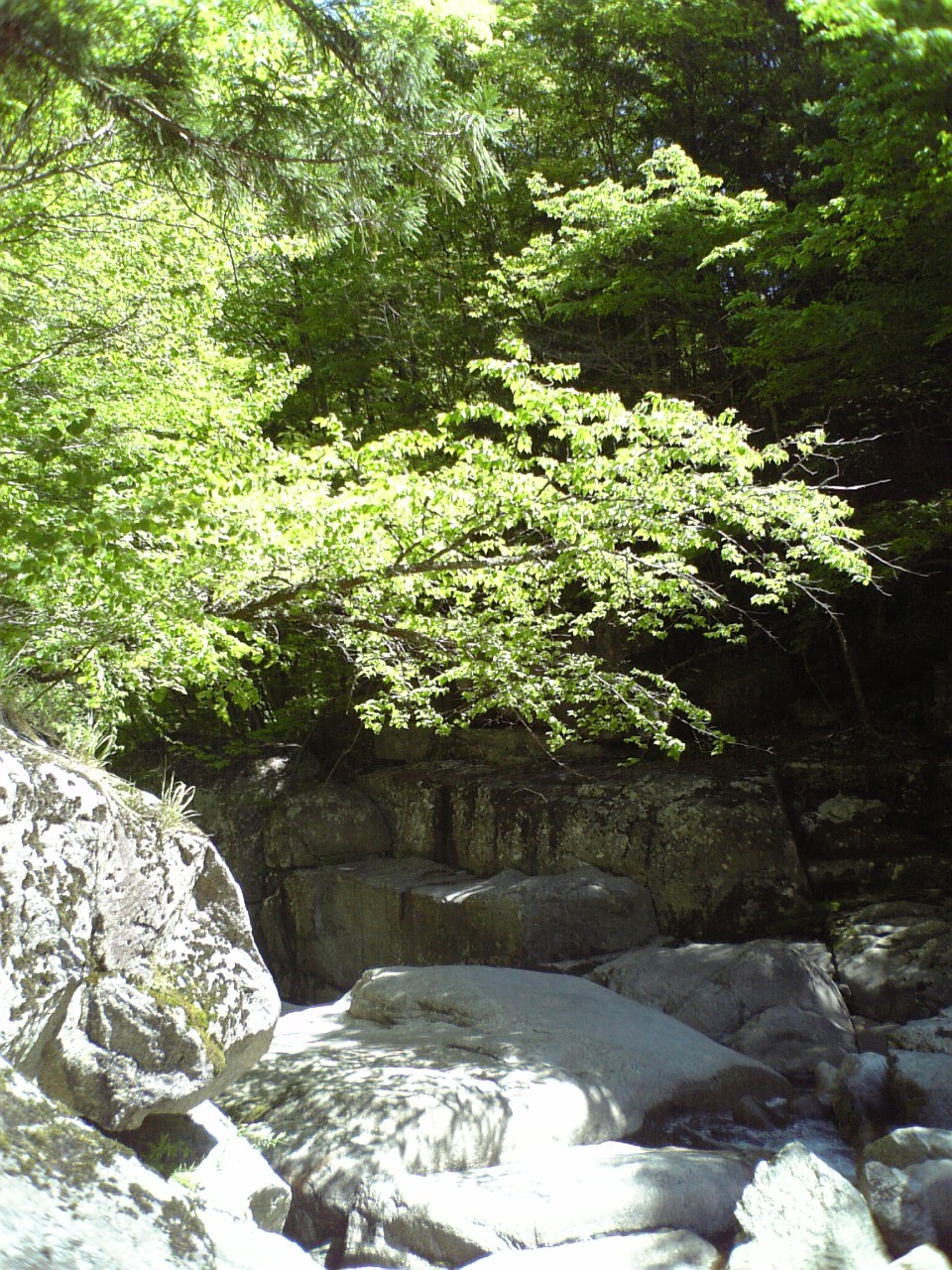 c0124776_6235645.jpg