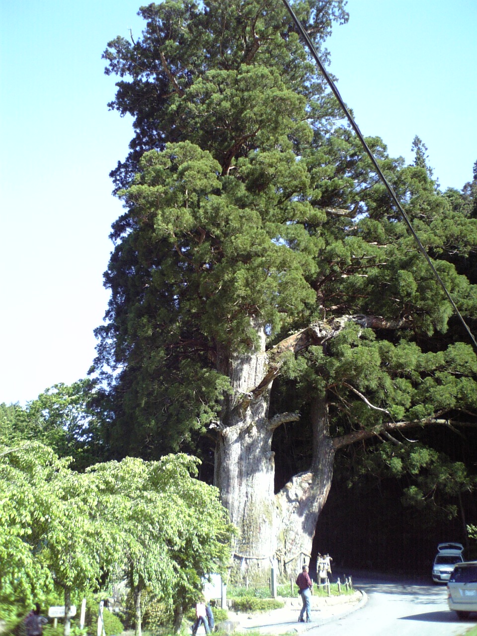 c0124776_6365793.jpg
