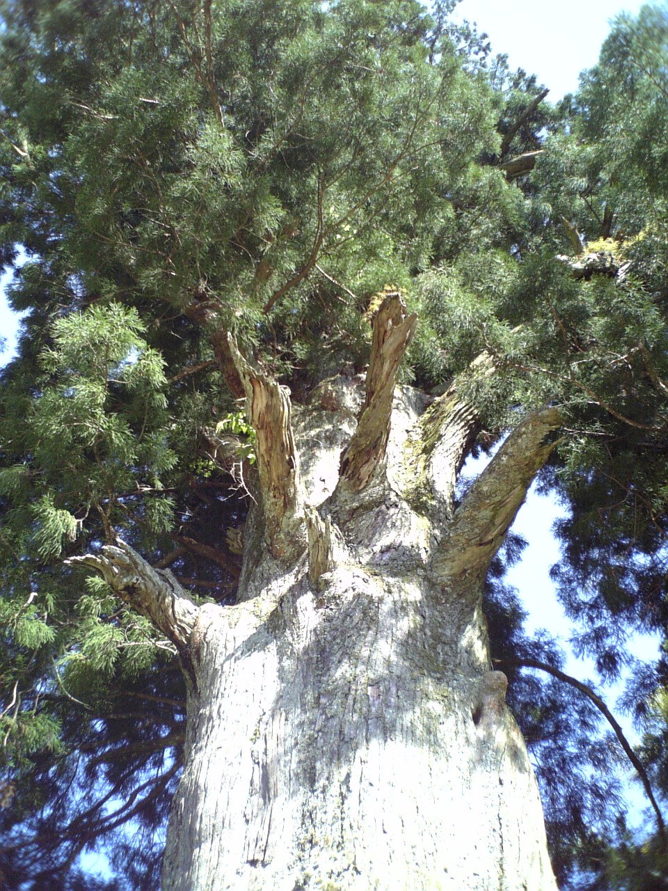 c0124776_6412664.jpg