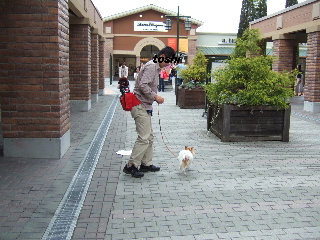 b0043980_01351.jpg
