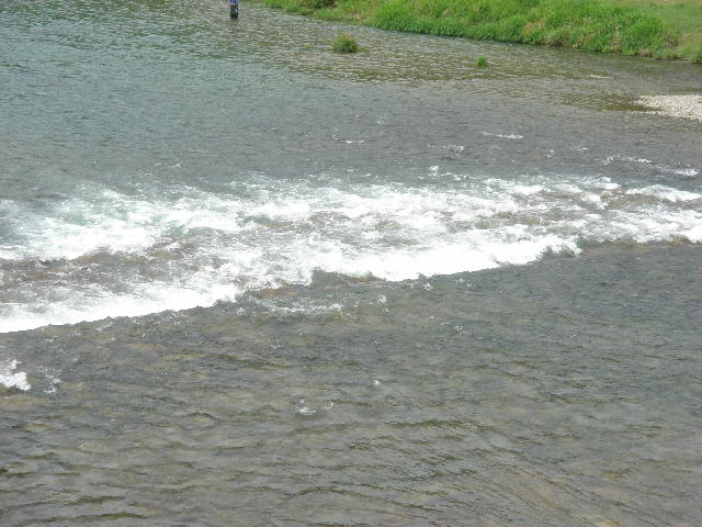 a0028482_13241036.jpg