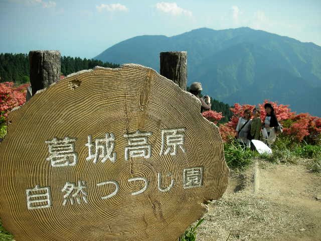 f0083400_133162.jpg