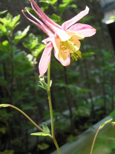 f0109900_11285958.jpg