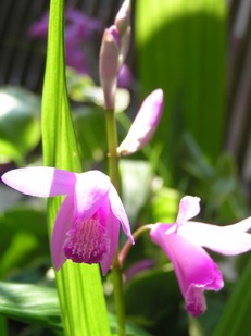 f0109900_11293310.jpg