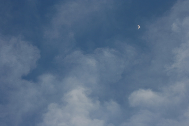 a0067201_73943100.jpg