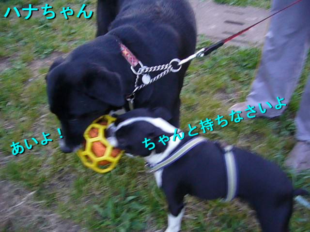 d0070702_23483667.jpg