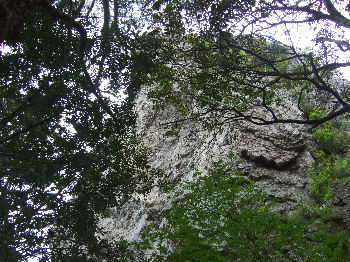 d0024504_22135960.jpg