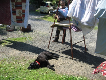c0017505_13234532.jpg