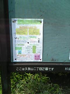 a0021608_1355044.jpg