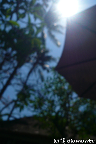 e0071409_1244881.jpg