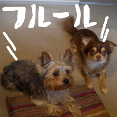 c0036617_19221563.jpg