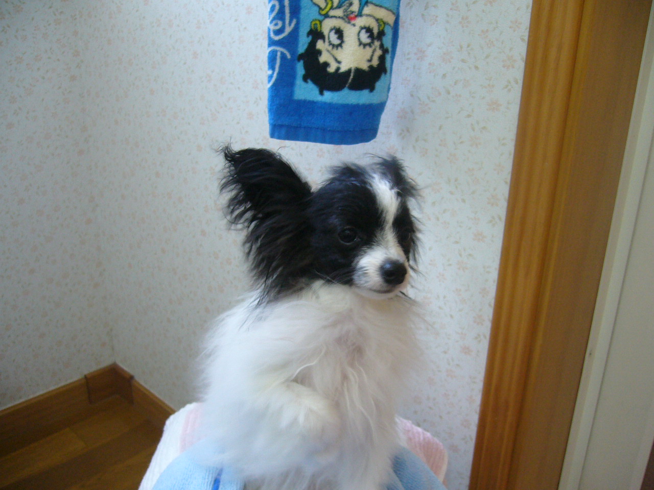 f0135021_13574078.jpg