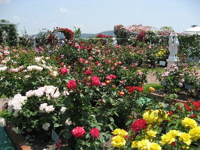 b0031925_15401491.jpg