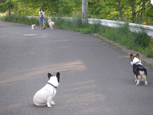 e0008833_12452724.jpg