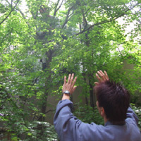 d0033734_11334955.jpg