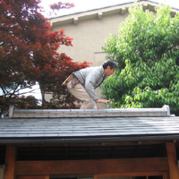 d0033734_11341650.jpg