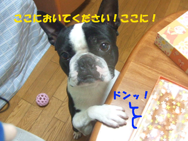 f0059334_9122784.jpg