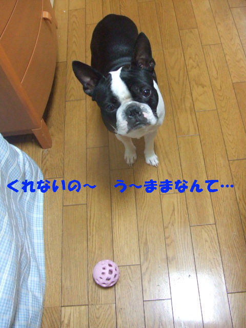 f0059334_913585.jpg