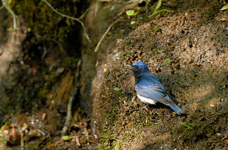 b0109942_6384620.jpg