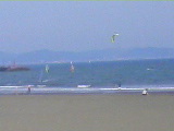 f0082052_12222421.jpg