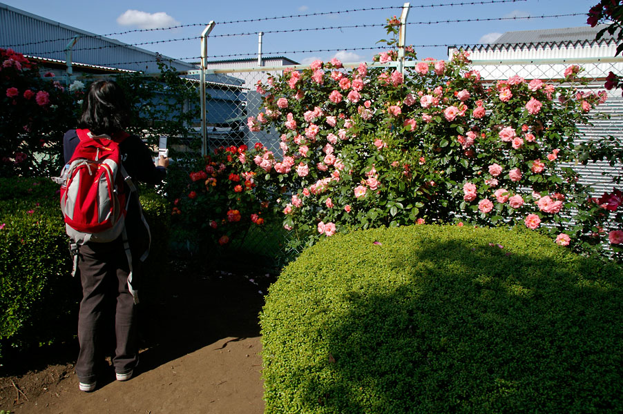 d0100156_23162796.jpg