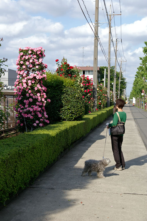 d0100156_2319574.jpg