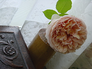 a0021558_9554783.jpg