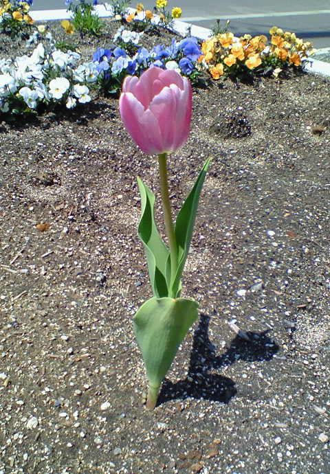 c0108366_10251692.jpg
