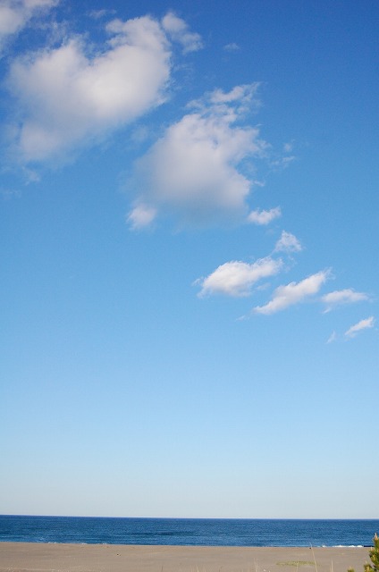 c0048667_2321391.jpg