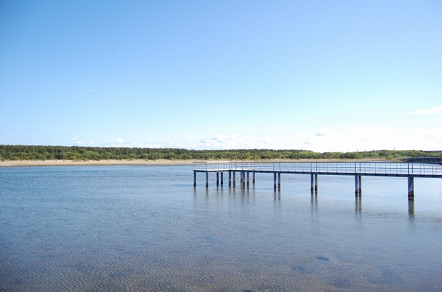c0048667_232639.jpg