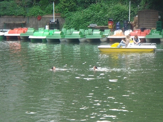 e0110868_23253744.jpg