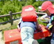d0069575_11333721.jpg