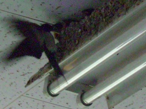 f0137275_540589.jpg
