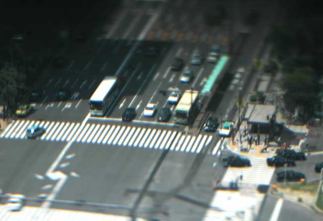 b0057679_824161.jpg