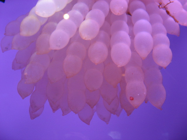 f0129187_17194860.jpg