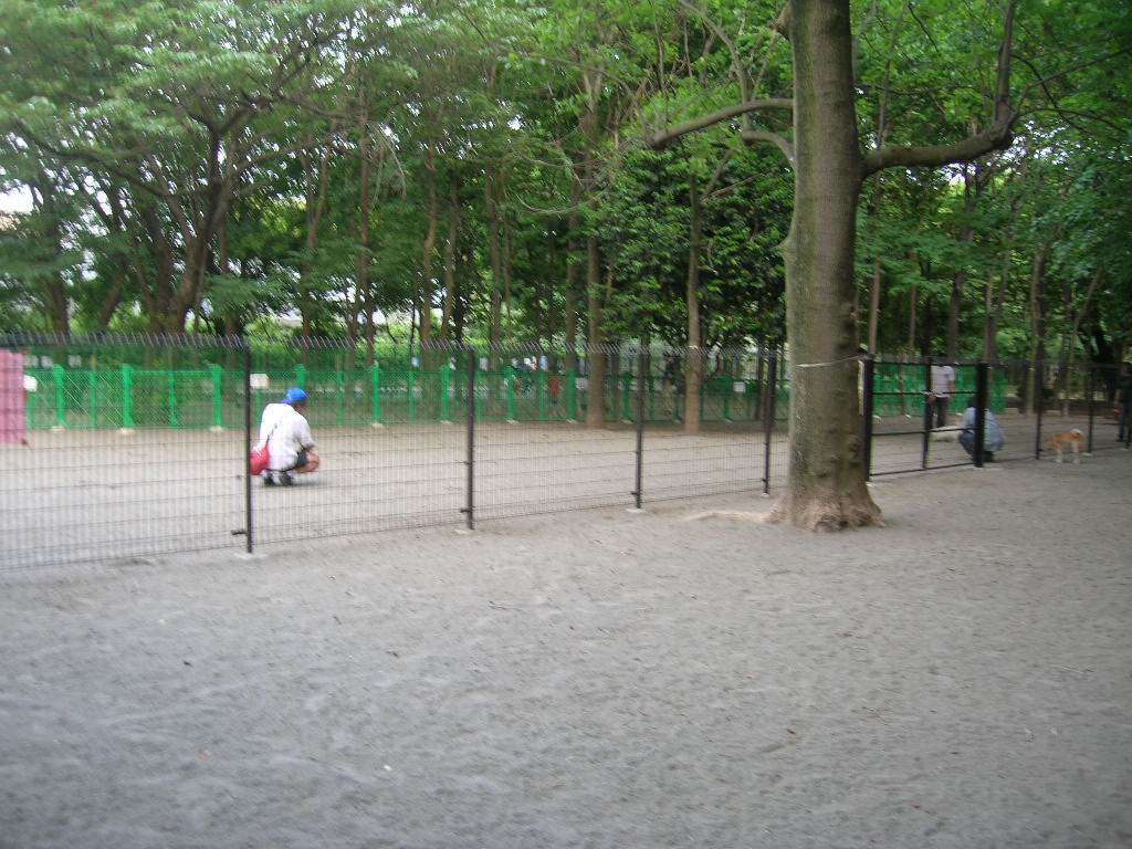 c0123890_21201014.jpg
