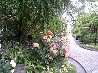 e0111793_1185122.jpg