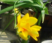 b0007895_2205984.jpg