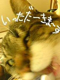c0035001_13543370.jpg