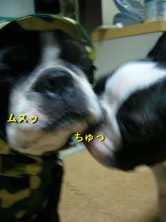 d0070702_21562015.jpg