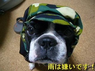 d0070702_21565417.jpg