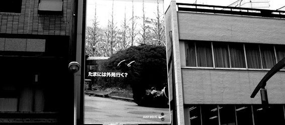 d0100502_1945751.jpg