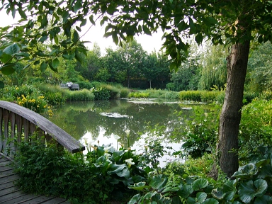f0065604_152442.jpg