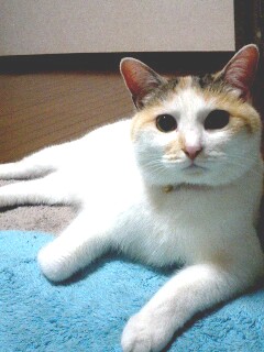 b0042310_2056226.jpg